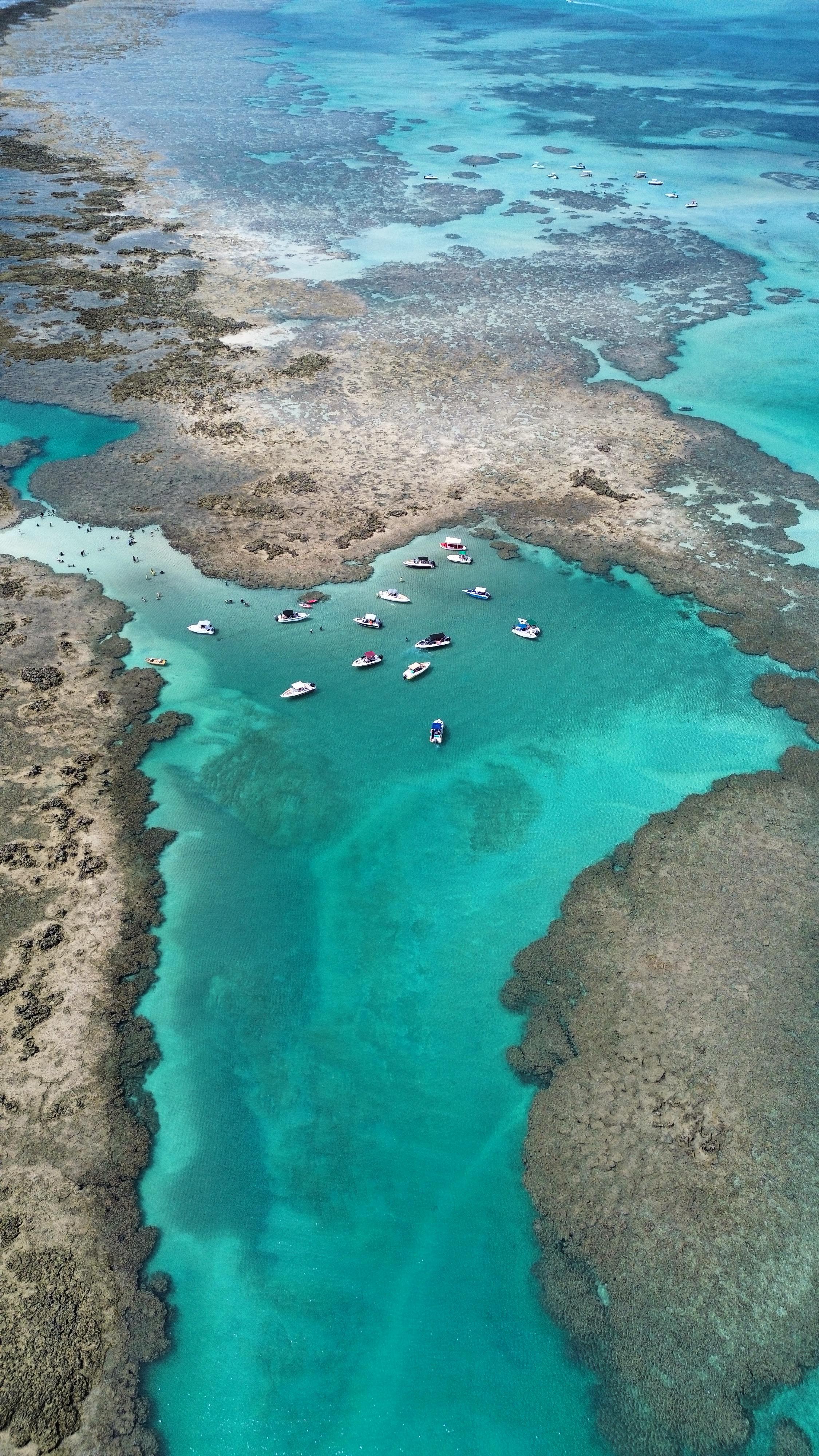 Piscinas Naturais de Maragogi